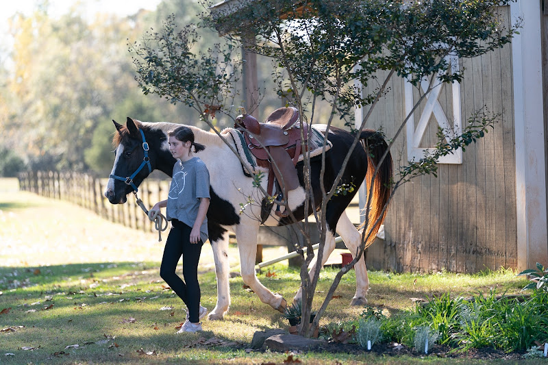Red Cedar Equestrian LLC - Things to Do in Athens, GA