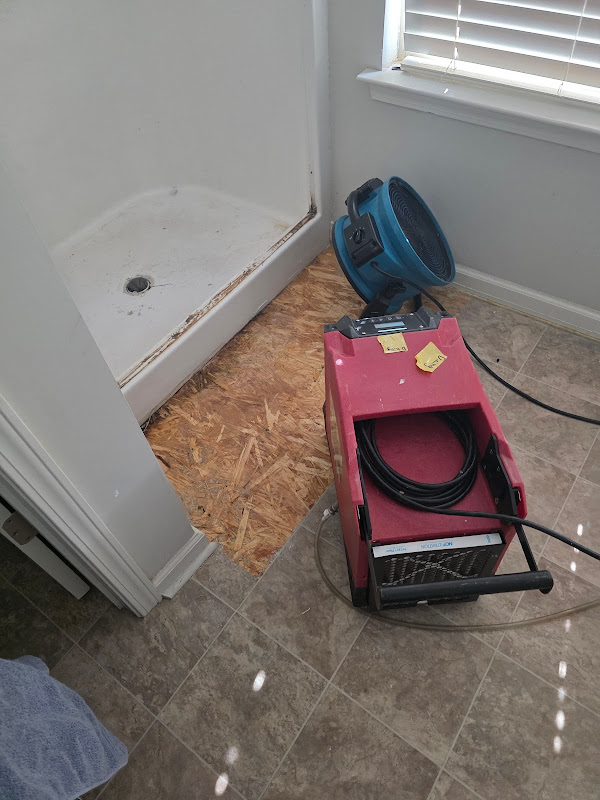 Restoration Specialist - Services in Athens, GA
