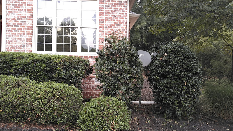 Reynolds Landscape Contractors - Services in Athens, GA