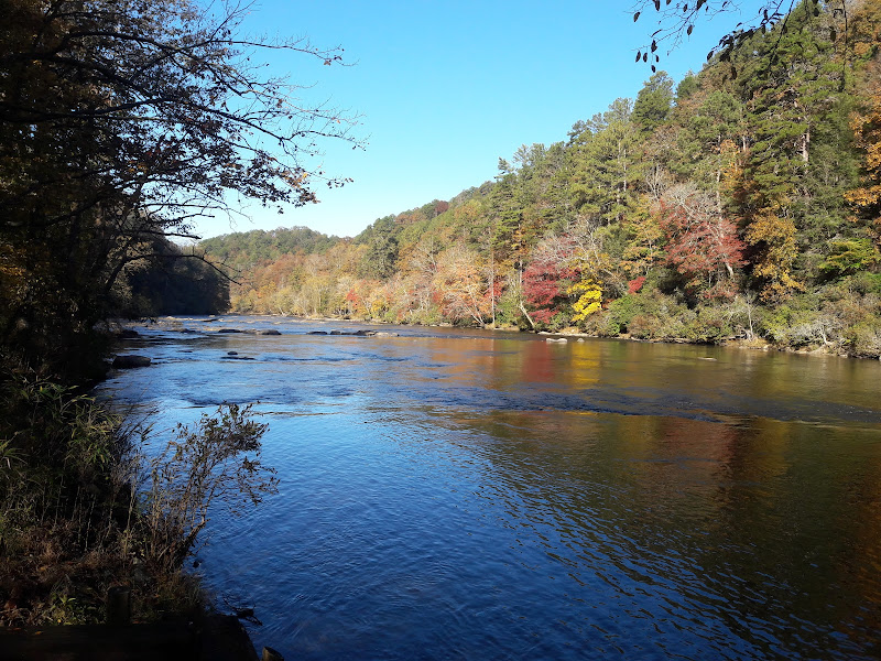 River Daze Cabin - Hotels in Athens, GA