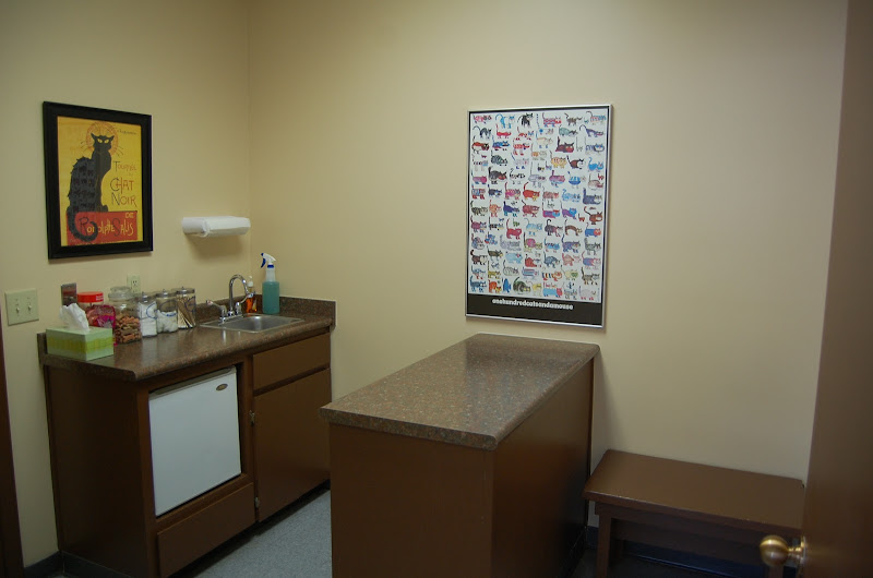 Shoal Creek Animal Clinic - Services in Athens, GA