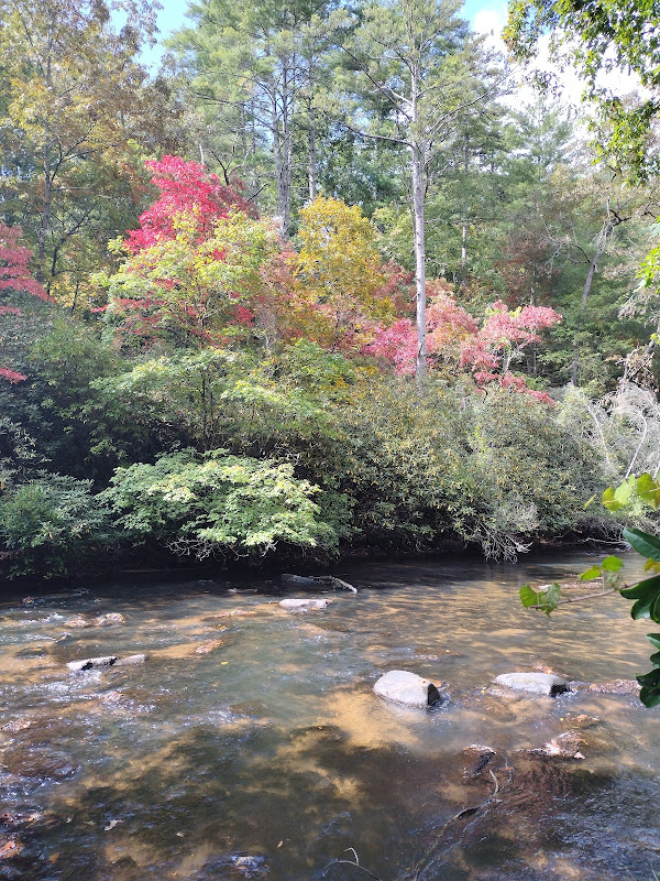 Sliding Rock Cabins - Hotels in Athens, GA