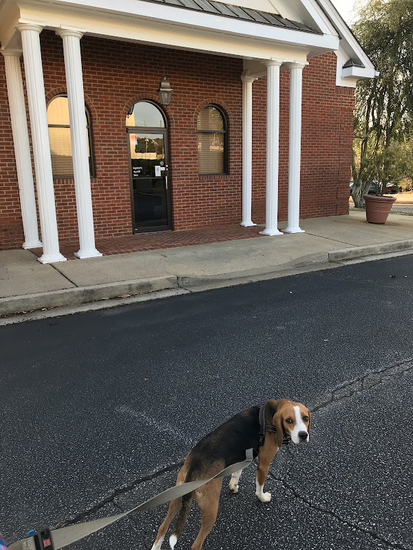 South Athens Animal Clinic - Services in Athens, GA