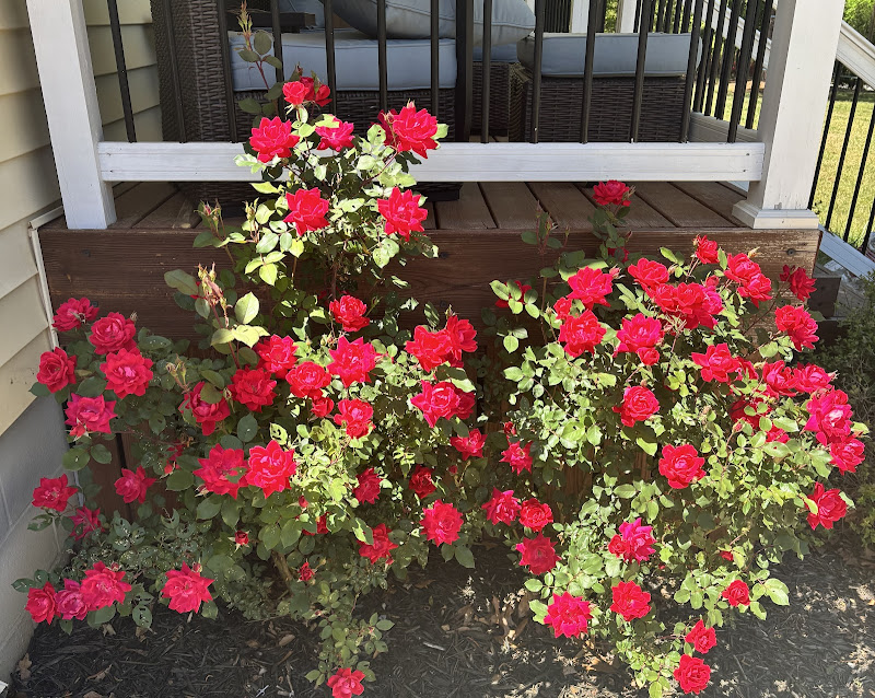 Southern Contours Landscaping LLC