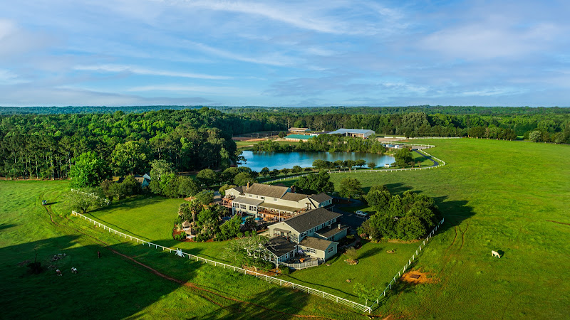 Southern Cross Ranch - Things to Do in Athens, GA