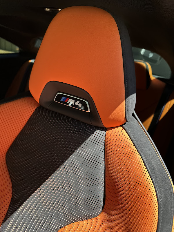 Southern Dawg Detailing LLC - Transportation in Athens, GA