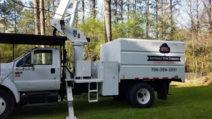 Southern Tree Company - Services in Athens, GA