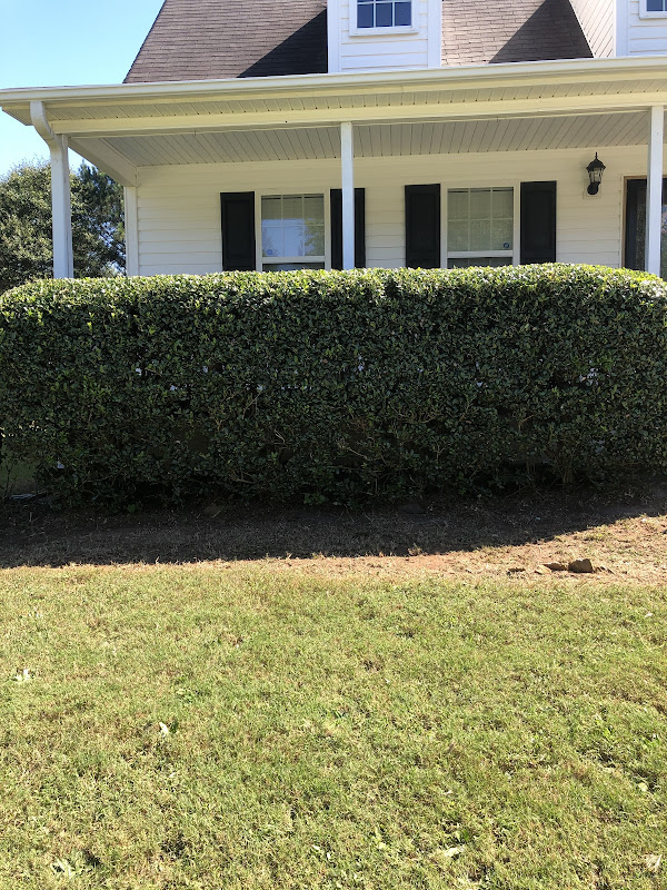 Stitt Professional lawn care service - Services in Athens, GA