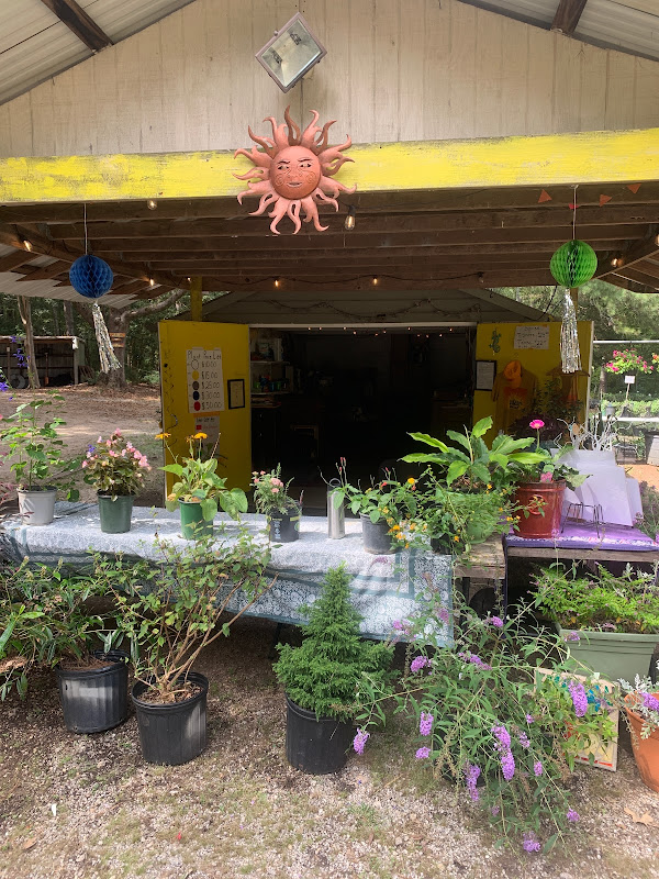 Sunrise Nursery - Stores in Athens, GA