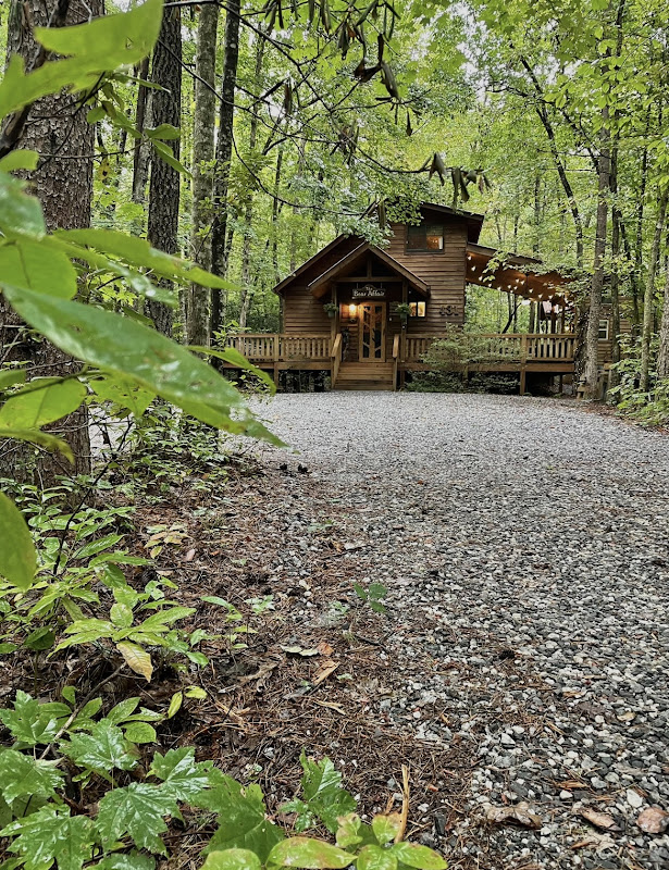 The Bear Affair Cabin Helen, Ga - Hotels in Athens, GA