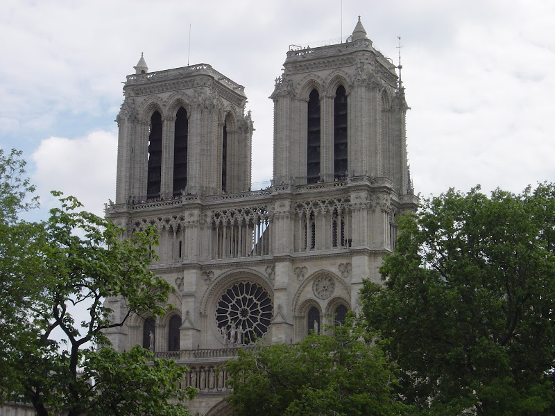 The French Language Connection