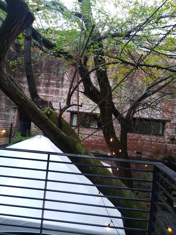 The Tree Room - Things to Do in Athens, GA