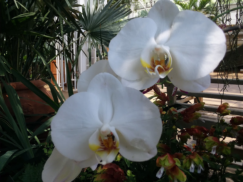 Theater In The Woods