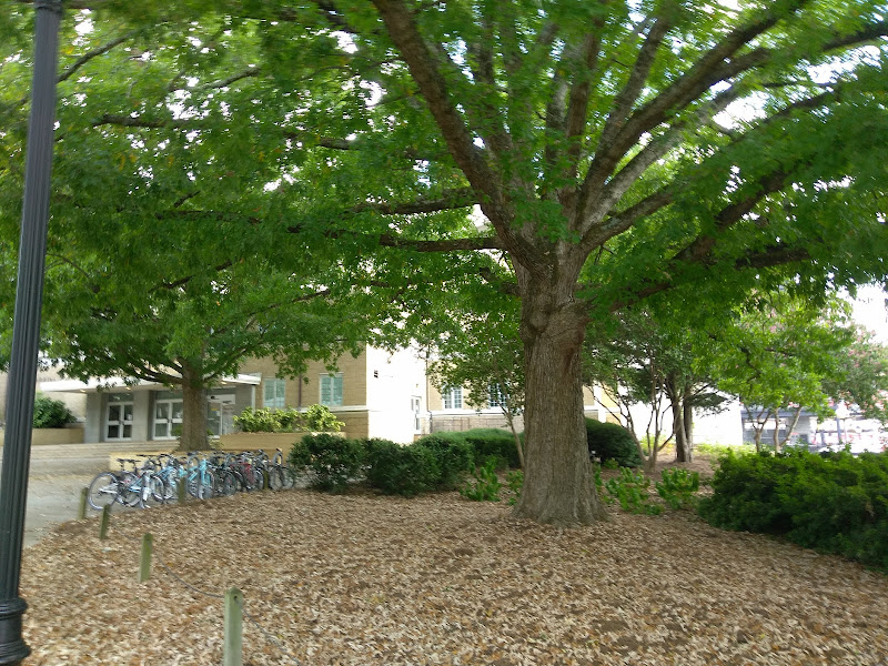UGA Memorial Hall - Things to Do in Athens, GA