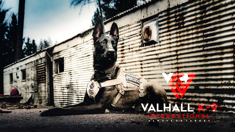 Valhall K9 International - Services in Athens, GA