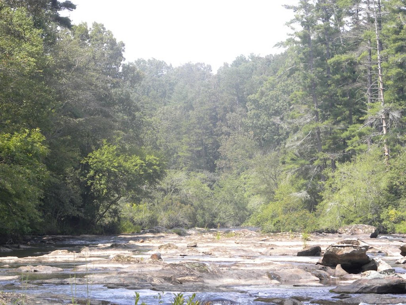 White water river cabin - Hotels in Athens, GA
