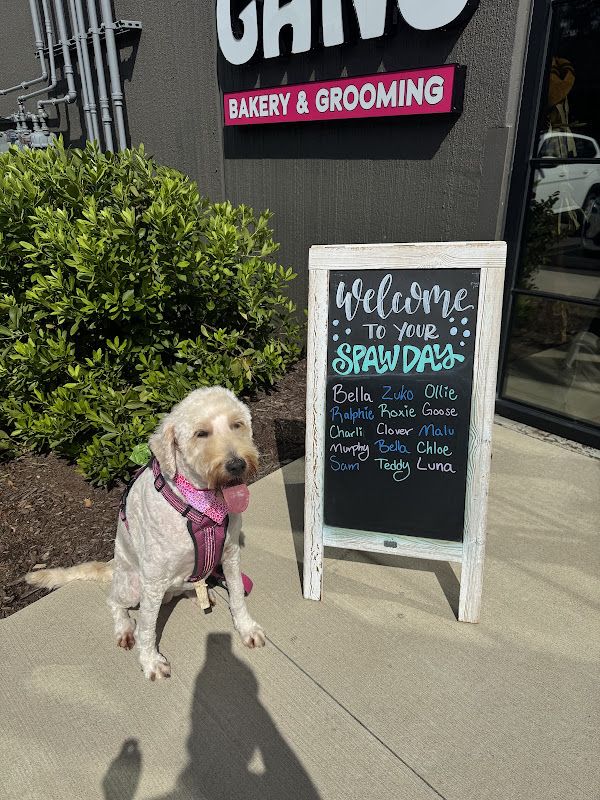 Woof Gang Bakery & Grooming Watkinsville - Services in Athens, GA